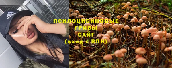 первитин Медвежьегорск