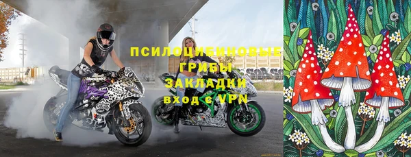 крисы Медногорск