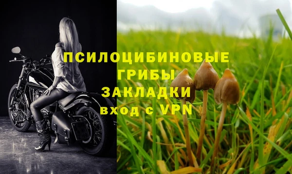 первитин Медвежьегорск