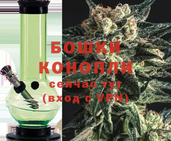 молекула духа Михайлов