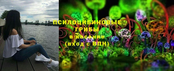 крисы Медногорск