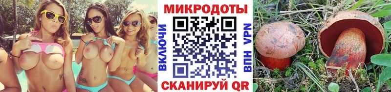 Купить  Гусев  Псилоцибиновые грибы прущие грибы 