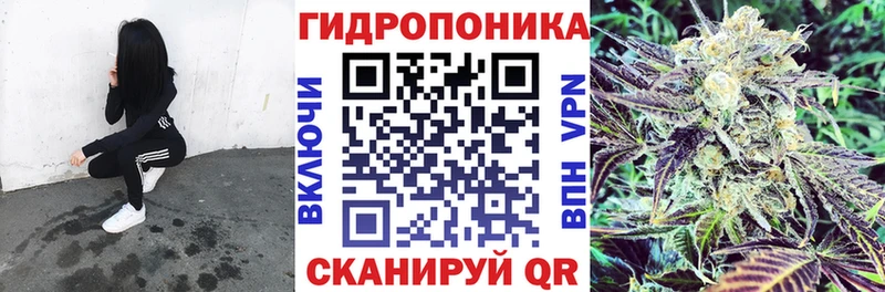 Купить закладки  Гусев  Конопля планчик 